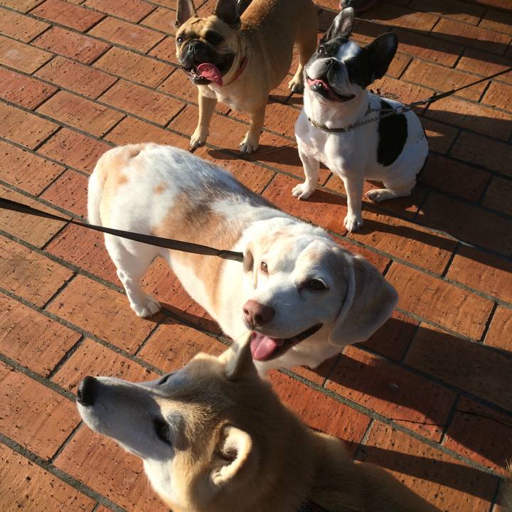 E0e65882 ae7d 487c b018 e1cb5d47de09