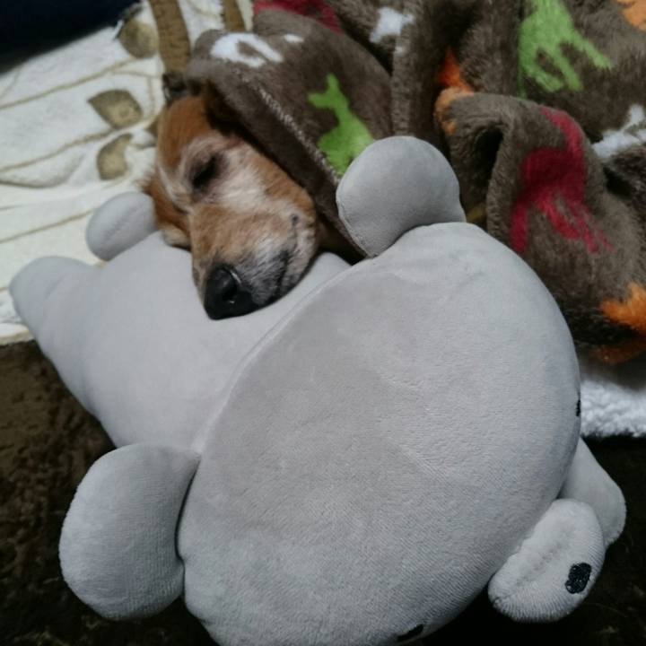 E0e740a1 8be4 402b a31a c294207f6e5a