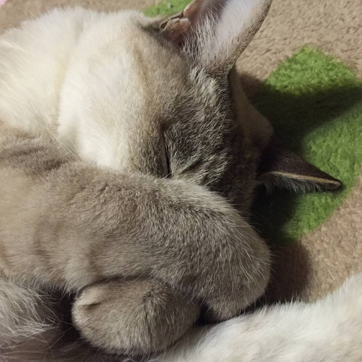 E0e7d15c f2f1 469b 80b3 349f002ae13b