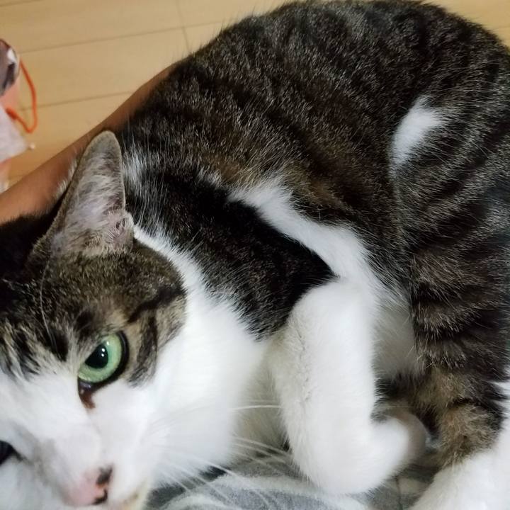 E0e85ca0 ecbd 4647 b037 9d4e2bb1820f