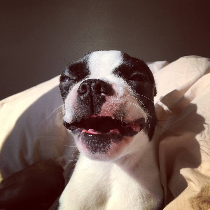 E0e8bbb4 8e84 4ea6 8bd7 503ba4cfe263