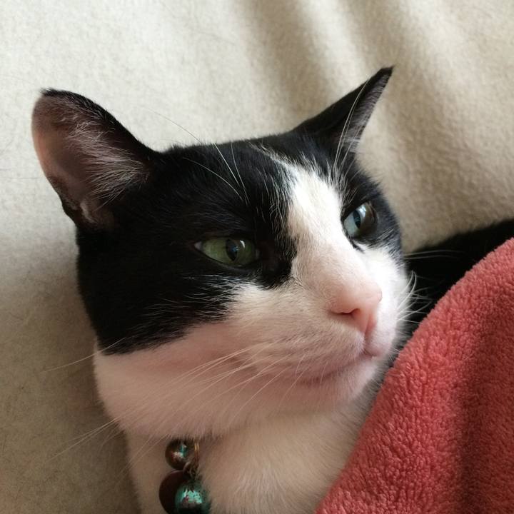 E0e8e642 730d 4296 883b a9681fd99550