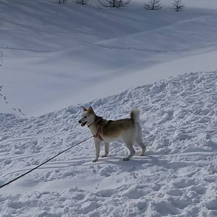 E0e96a89 1d8e 486e b911 c5f8be2b7a8c