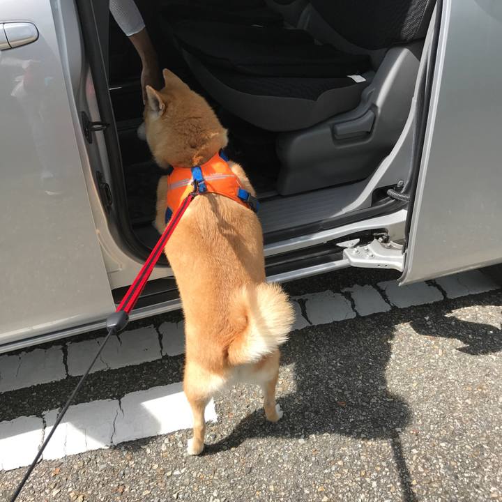 E0eb1042 0939 43dd 8915 cd52f701cc4a