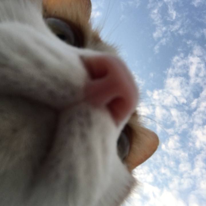 E0ebacc9 a04b 4911 b53c 3c7256aec745