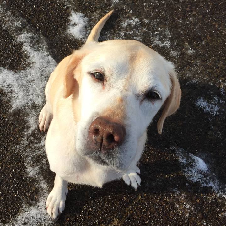 E0eceee4 c69a 4591 ae5d ff7111d4980d