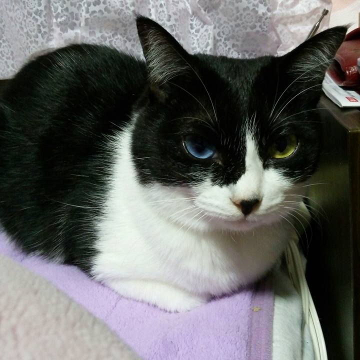 E0ed1e23 86f3 49f8 ba31 1b8f8f03629c