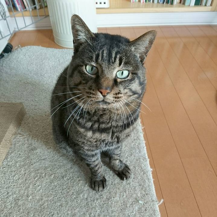 E0ed2cc7 5b53 4f53 88e9 091f7b101fe9