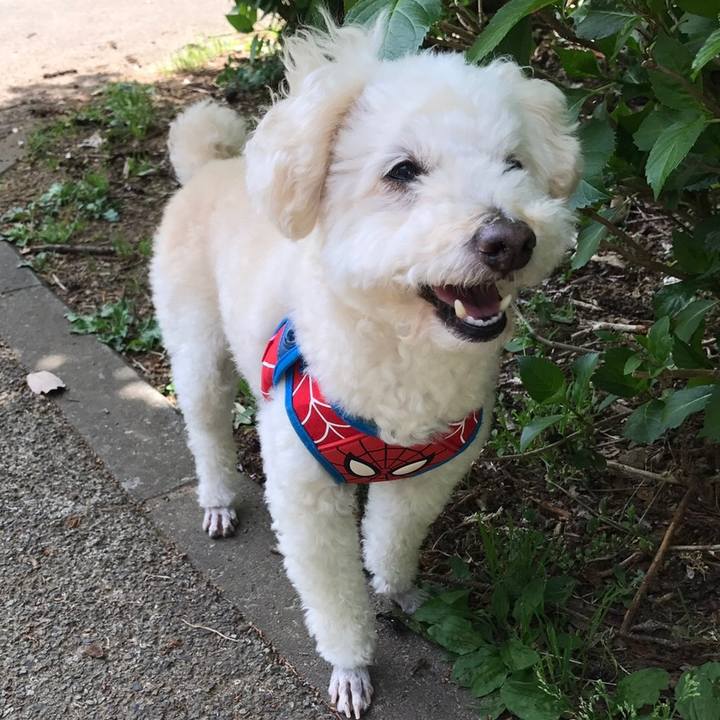 E0ed33e2 cd15 4058 a42b fd5f7b920797