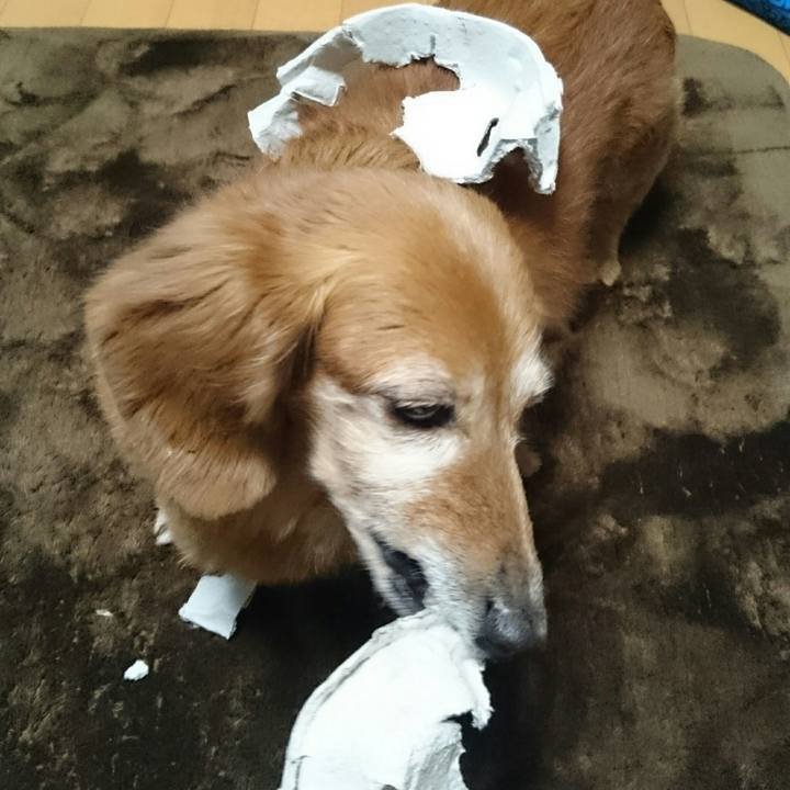 E0ee5c37 89ce 44c7 8550 392b8ff726a8