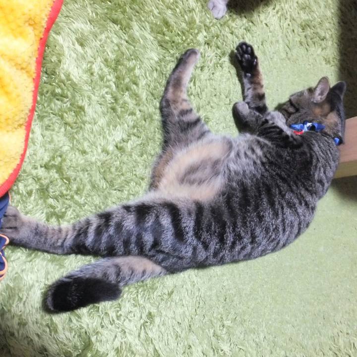 E0ef2570 2083 4706 b998 a639f385cc78