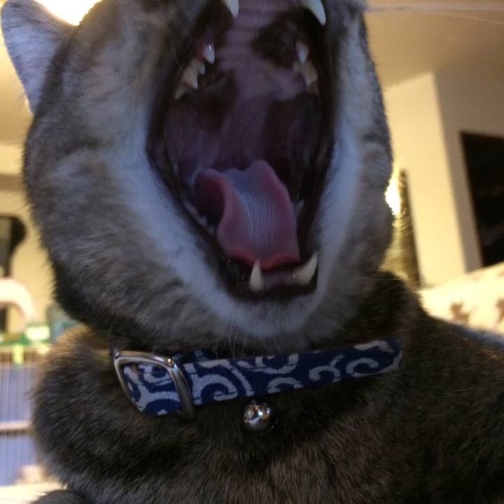 E0ef55e4 5cc8 492d abab 1a93ee6d5eb9