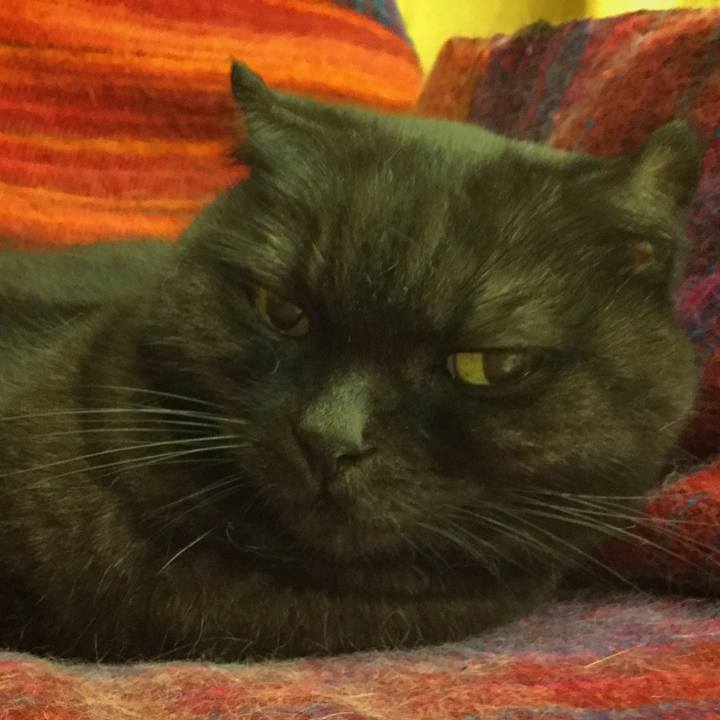 E0ef55e5 b90d 4bc1 9023 e26217a39e04