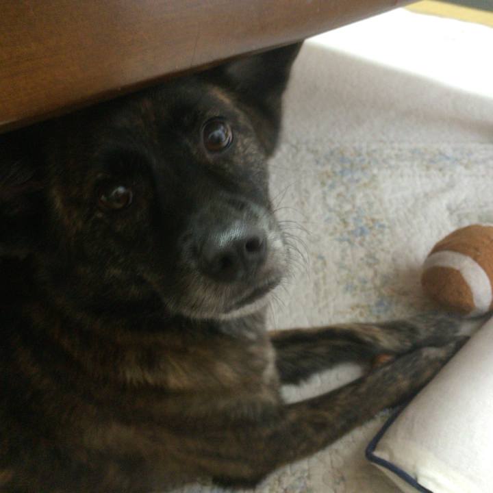 E0ef8124 45da 45e5 9f0c f6692246c926