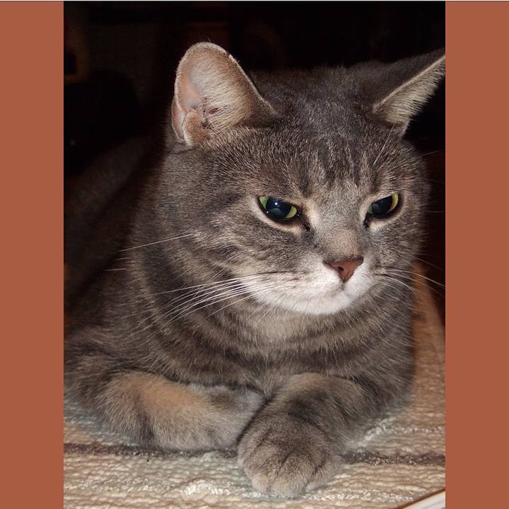 E0efa1ff c822 4416 b95f 69ec646e1891