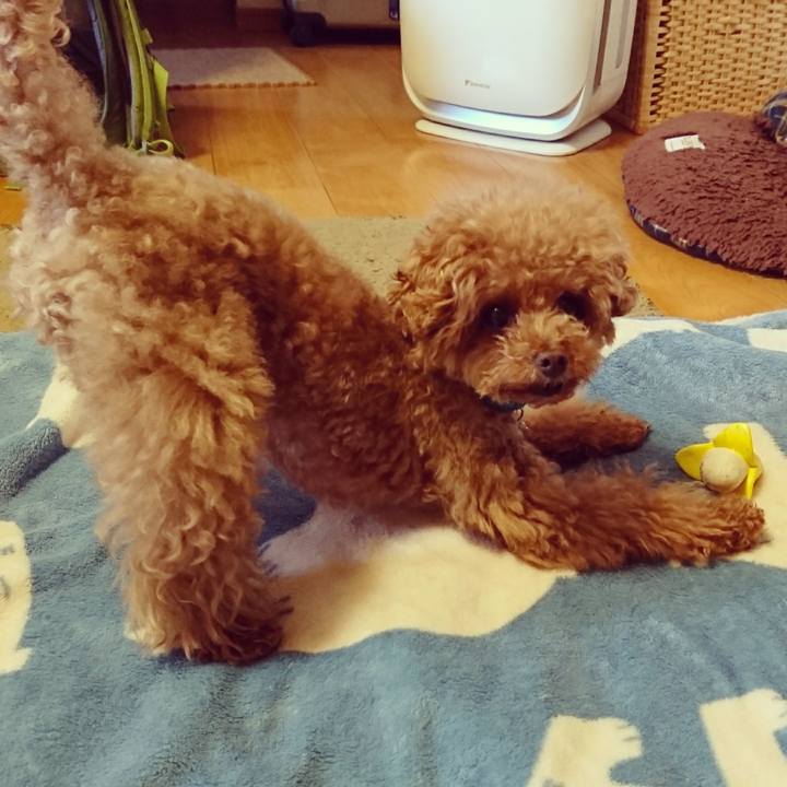 E0f02034 45e7 4f23 8815 f4fcf055c86a