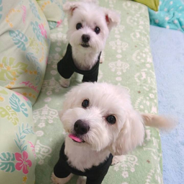 E0f0cd33 e71a 4757 8805 b043dd162d7a