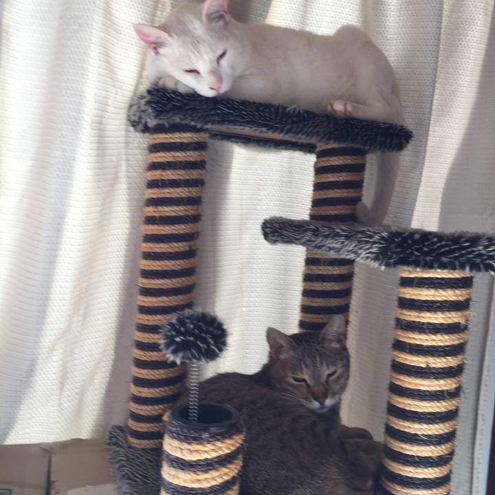 E0f19dc1 5fa1 4c2f b382 6964519aadc1