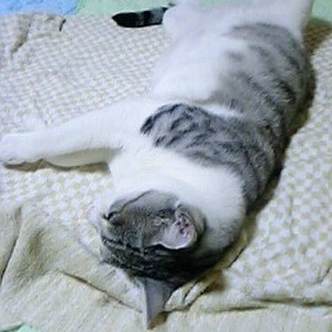 E0f1e827 1e14 42ee bb7b bd09254cd99f