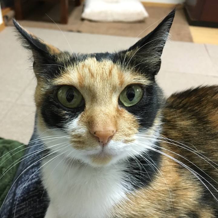 E0f239c4 3242 40cb bf11 6270cb062965