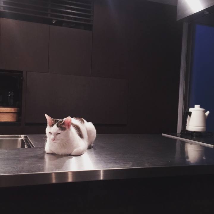 E0f2bfc1 9e75 4e3c 8a93 c22f540ecfae