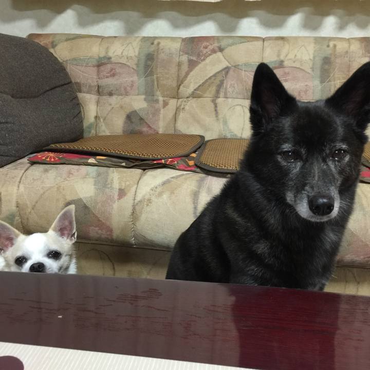 E0f3f017 c035 4985 97db 2bd93a395fdc