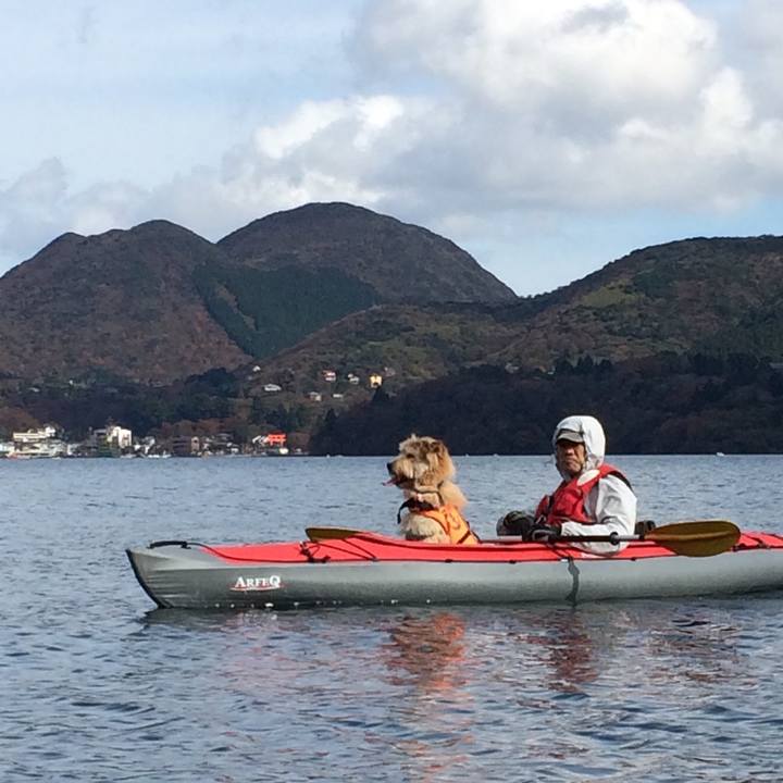 E0f42853 76a4 4f4f bfad 0303186e0ea8