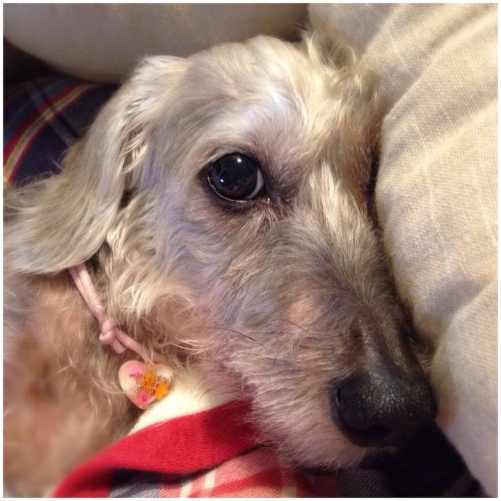 E0f4f88c e9ae 4ba0 a3fe 70e45790e41f