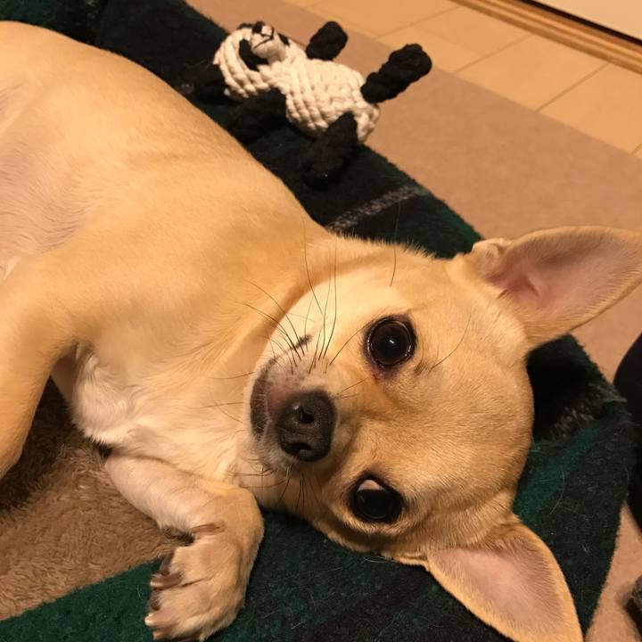 E0f502d2 f462 4d9b 8038 45761db423a9