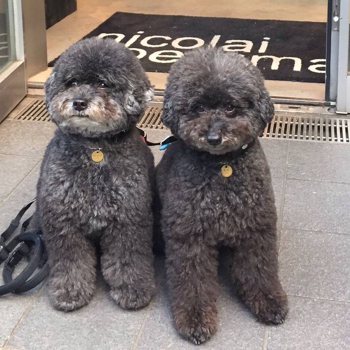 E0f5e6d5 c8f3 48b5 88f0 99bd7a867e29