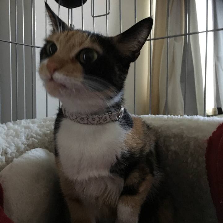 E0f63cef 142e 4148 92bd 979c1afb77b9