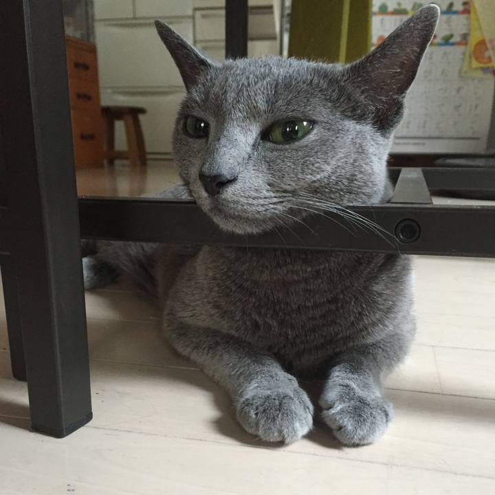 E0f6d8a6 b024 4770 90f7 3c526fd9afb0