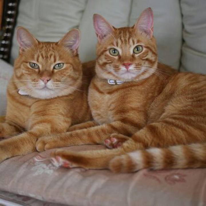 E0f7c2ee c388 4e6a 8bc1 d548beae6c63