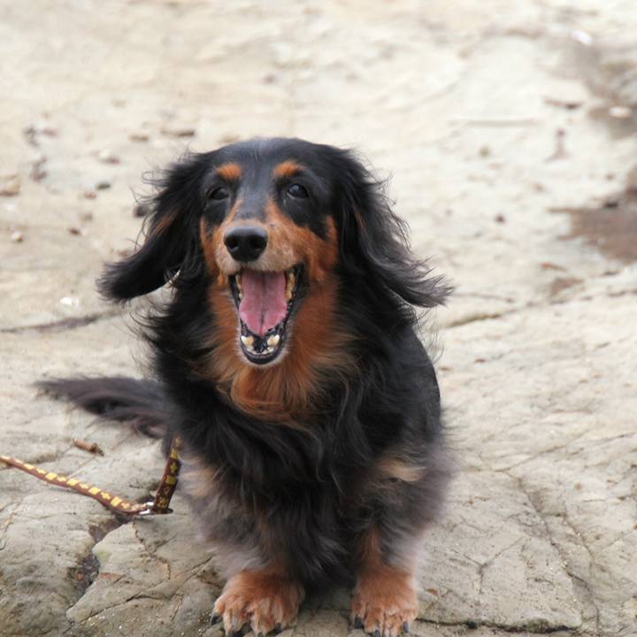 E0f97785 ff4c 4ab3 8161 a69c417e6609