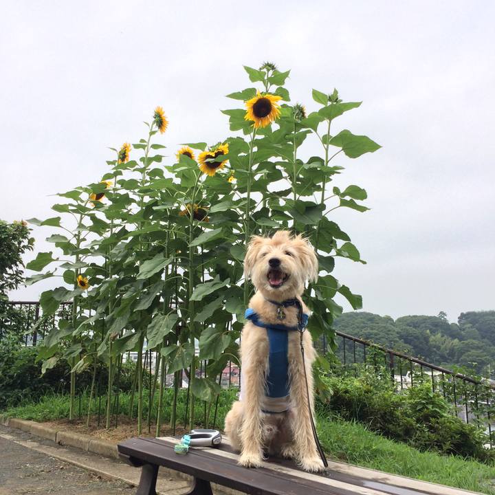 E0faa531 7ac7 4660 b992 aabb60a5037c