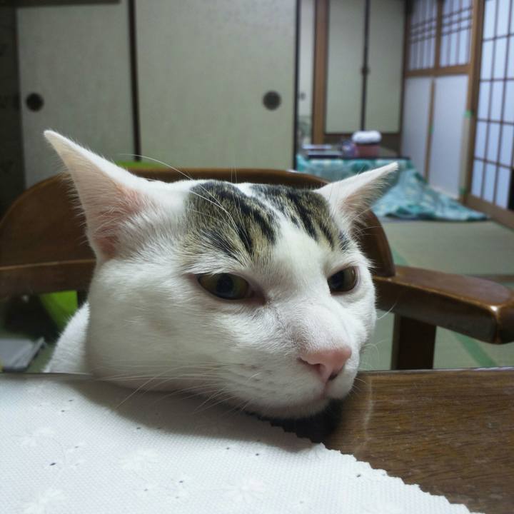 E0fadd89 5b5c 4767 b5a6 683e48a5d15f