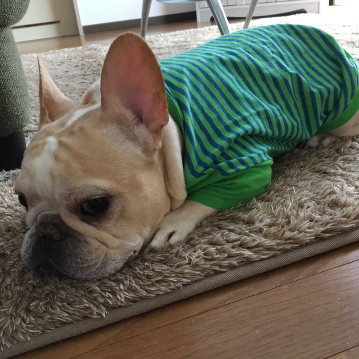 E0faf27d 39e5 4d64 a295 4e0e877c5201