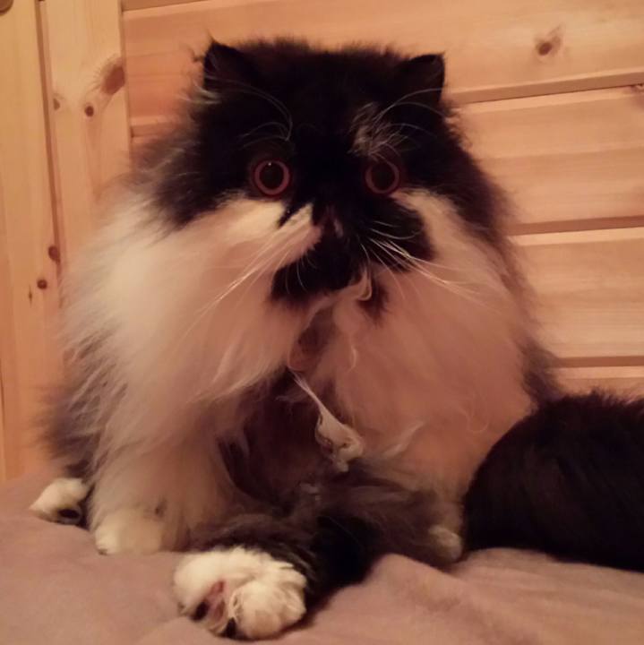 E0fb2591 a56e 42aa 93db c4be60ba990e