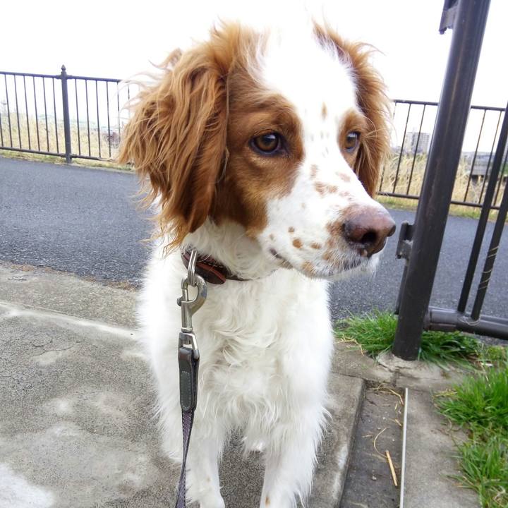 E0fb9245 99df 4815 b5cf e9319e3a3caa