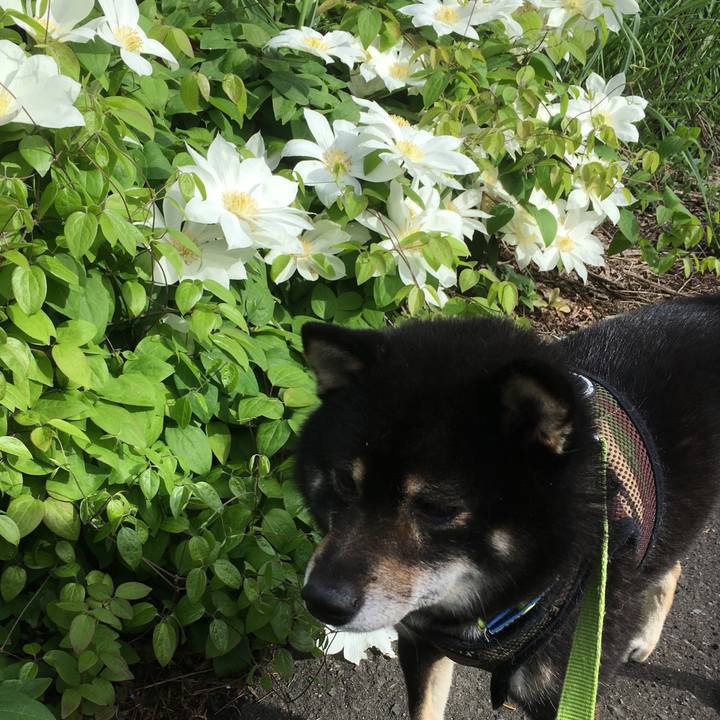 E0fbbd9d d54e 4f0d a19b d671d2a922a3