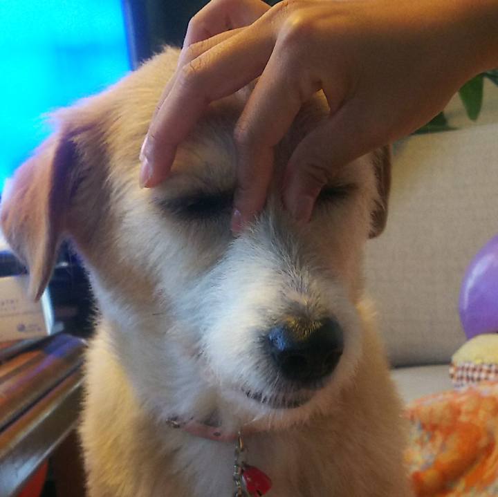 E0fbd992 c10f 48ab 8ad0 3faa135f82f9