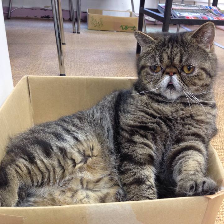 E0fc5898 b442 47a7 a6f7 81766a3bf72e