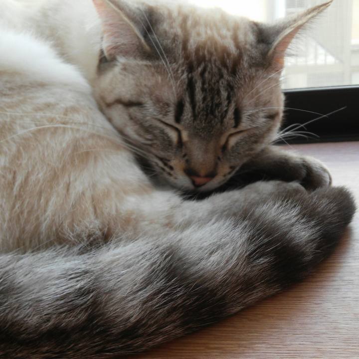 E0fce0f6 fd7c 409c 8369 51575044d66b