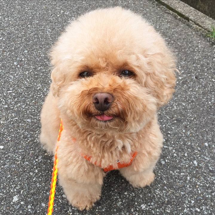 E0fcfe11 2dd8 4e3d 8ad3 51558087ae12