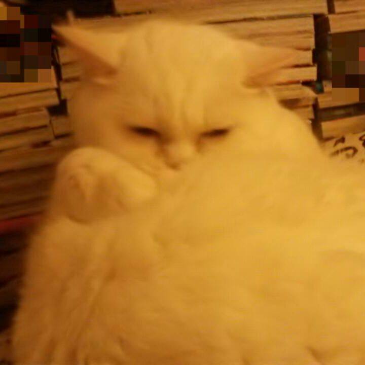 E0fea19d 13c2 46a0 8bfc c5e2366f0fde