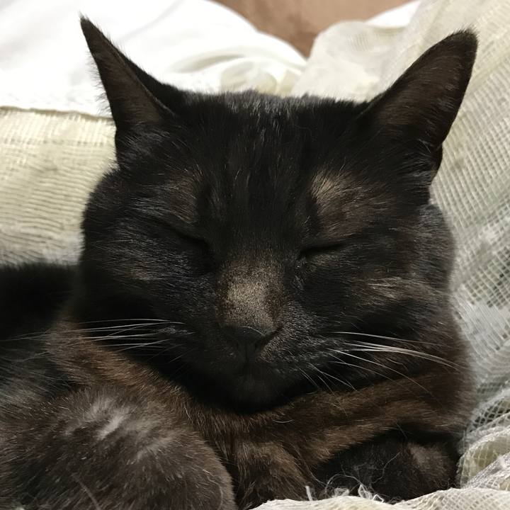 E0fef9f9 bf43 460b 8061 b01013548c15