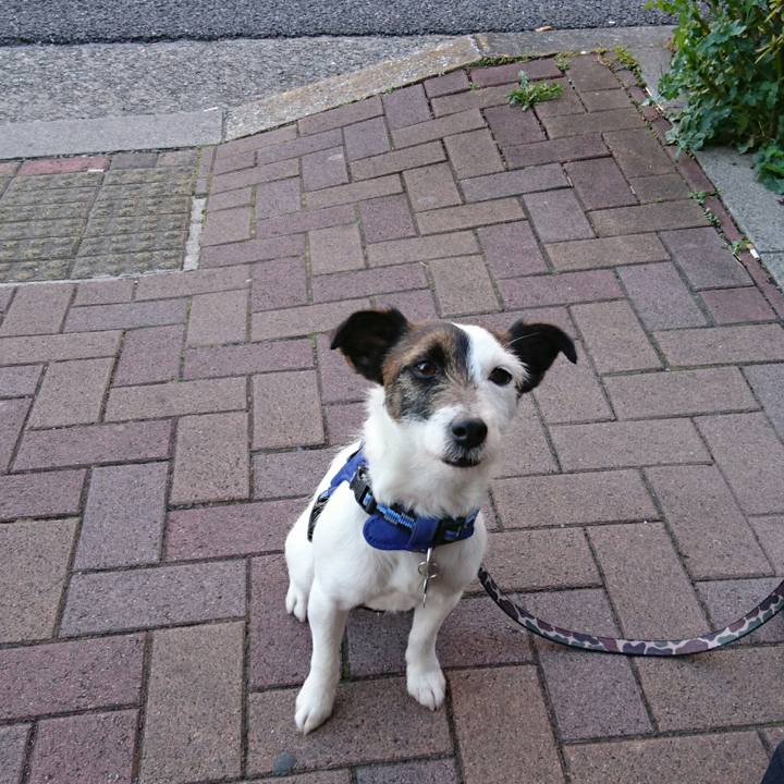 E0ff6d8f 7bca 42af b380 3a6ffa31777a