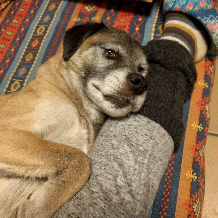 E0ffbe3b c35a 4273 a9e1 5f9cd5614c2c