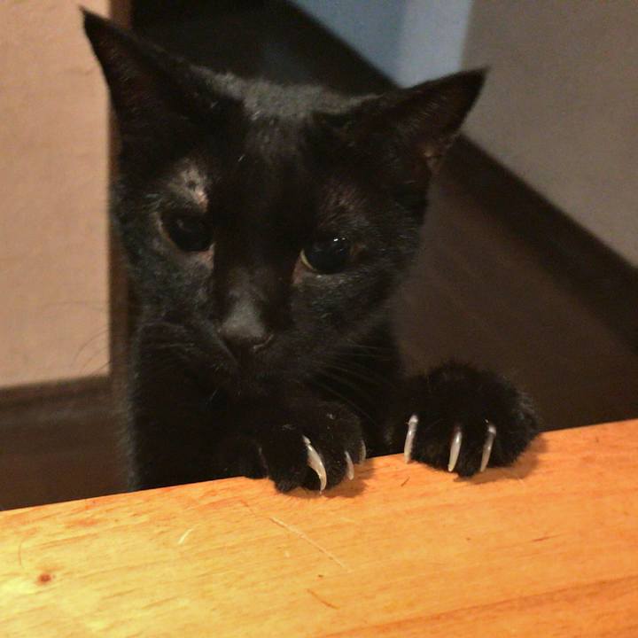 E1004c0a 5c5c 45c1 9edc 4587c633ecce