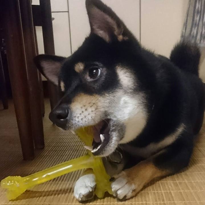 E100ac91 861f 4427 a616 9f6c54468768